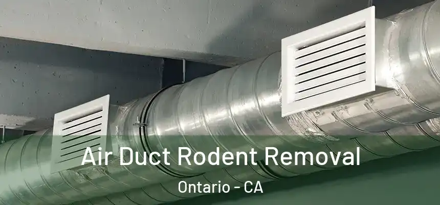  Air Duct Rodent Removal Ontario - CA