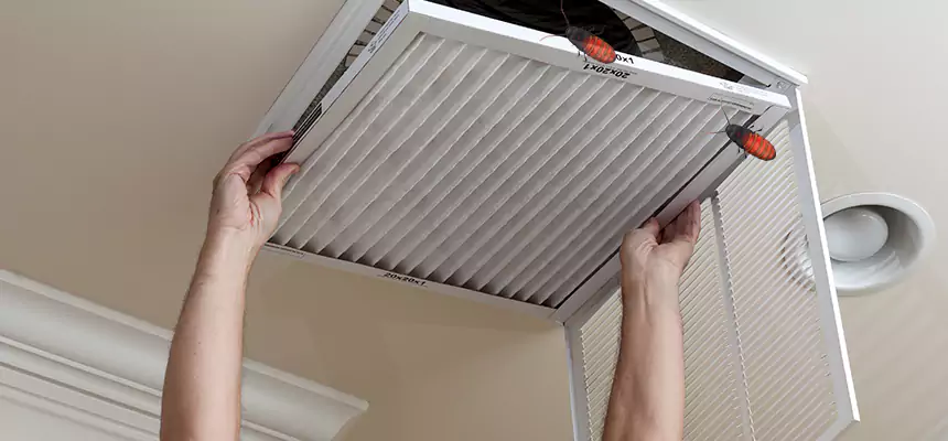 Preventive Cockroach-Proofing for Ducts in Ontario