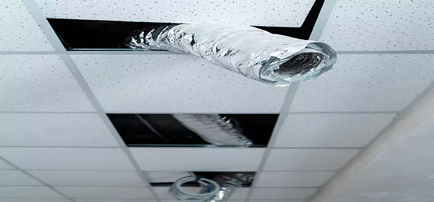 Affordable HVAC Sanitizing After Pest Removal in Ontario