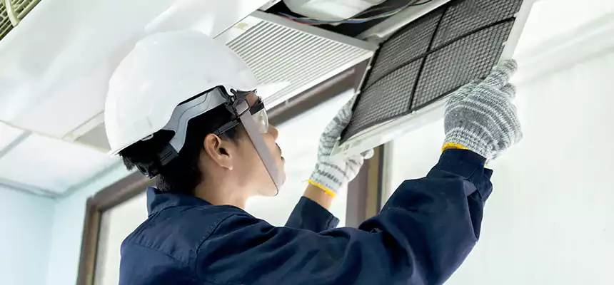 Our Mold & Mildew Removal from Air Ducts Services in Ontario, CA