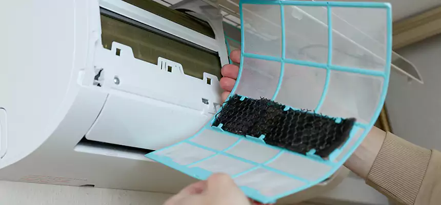 Gentle Ductwork Odor-Control Pet Dander Duct Cleaning in Ontario, CA