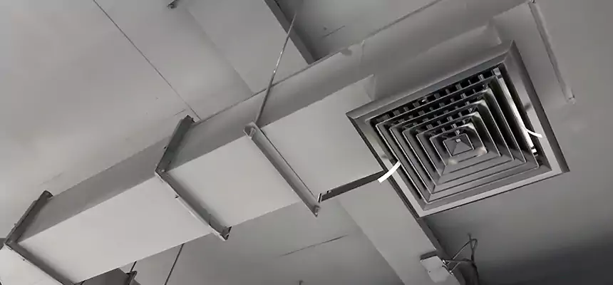 Our Rodent Droppings In Vents Services in Ontario, CA