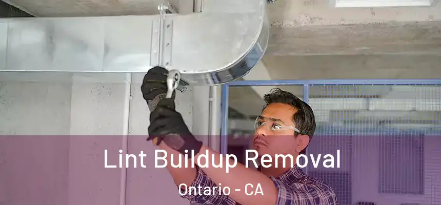  Lint Buildup Removal Ontario - CA