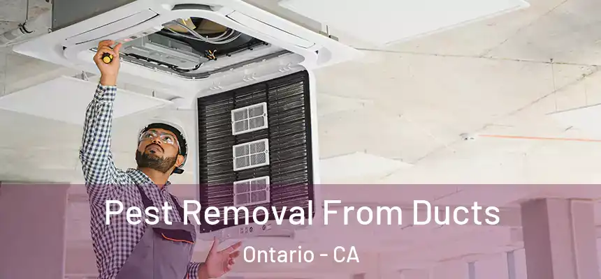 Pest Removal From Ducts Ontario - CA