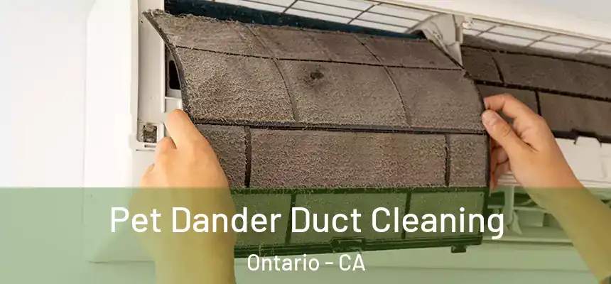  Pet Dander Duct Cleaning Ontario - CA