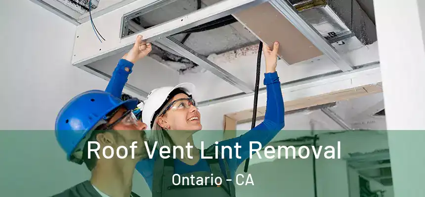  Roof Vent Lint Removal Ontario - CA