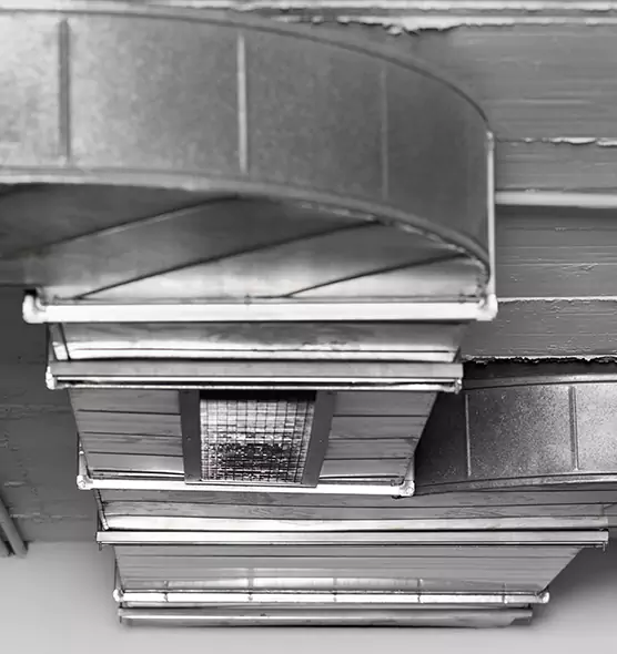 Professional Air Duct Pest Removal in Ontario, CA